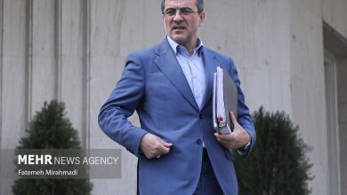 رفیع‌زاده: تکلیف دستگاه ها را در حوزه اصلاح نظام اداری روشن کردیم+فیلم