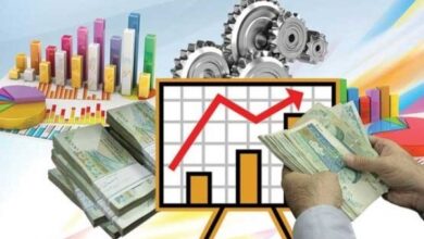 سیاست تثبیت اقتصادی، ترمز تورم فزاینده