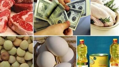 تخصیص ارز ۲۸.۵۰۰ تومان به کالاهای اساسی ادامه دارد