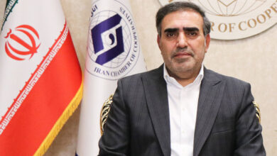 کمتر از ۱۰ درصد سند توسعه تعاون اجرایی شده است