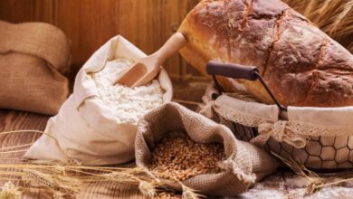 خرید گندم کیفی باید در دستور کار قرار گیرد