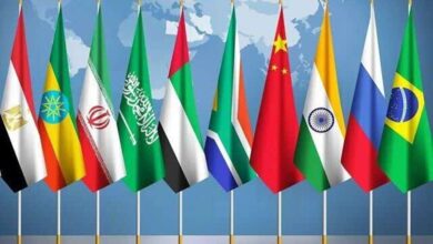 وزیر جهاد کشاورزی عازم برزیل شد