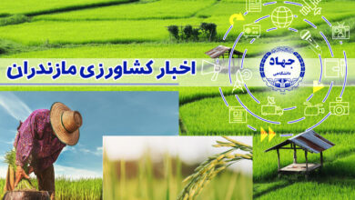 احیای پروژه‌های راکد کشاورزی و بازگرداندن آنها به چرخه تولید در استان