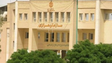 مرادنژادی:۲۰۰۰ دانشجوی جدید در دانشگاه ایلام پذیرش شدند