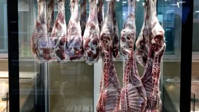 ماهیچه و آبگوشتی گوسفندی کیلویی چند شد؟ | قیمت جدید گوشت قرمز امروز ۱۱ شهریور